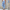 WW | Damen Leichte Sommerhosen Stoffhosen