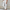 WW | Damen Leichte Sommerhosen Stoffhosen