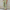 WW | Damen Leichte Sommerhosen Stoffhosen