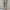 WW | Damen Leichte Sommerhosen Stoffhosen