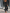 WW | Damen Elegant Anzug Zweiteiler Satz