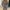 WW | Damen Pailletten Wickelkleid Mini