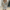 WW | Damen Pailletten Wickelkleid Mini