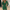 WW | Damen Pailletten Wickelkleid Mini