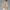 WW | Sommerjacke Damen Leichte