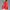 WW | Sommerjacke Damen Leichte