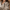 vintage-wolljacke
