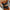 WW Bikini |  Bequemer Bikini mit High-Waist-Slip