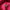 | Buchstabenring