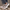 W&W - Elegante Winter-Sneakers mit Fellfutter