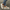 W&W - Elegante Winter-Sneakers mit Fellfutter