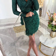 WW | Stilvolles Partykleid Mit Federpailletten