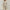 WW | Stilvolles Kleid Mit Zarter Spitze
