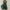 WW | Stilvolles Kleid Mit Zarter Spitze