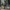 WW | Taktische Fleecejacke Herren Jacke