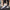 WW - Leichte Schuhe