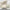 WW - Tote Tasche aus Leder