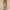 WW | Böhmisches Maxikleid mit Patchwork und Fruchtmotiven