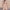 WW | Boho Strandkleid mit Sweetheart-Ausschnitt, Fledermausärmeln, Langer Schnitt und Print