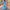 WW | Boho Strandkleid mit Sweetheart-Ausschnitt, Fledermausärmeln, Langer Schnitt und Print