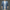 WW | Männer Blazer