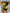 WW | Colorblock-Halter-Bikini-Set für Damen