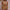 WW Bikini mit weißem Kristallhalsband von ByVera