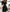 WW | Midi Kleid Elegantes Design Formelle & Abendmode