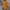 WW | Midi Kleid - Stilvolles und Entspanntes Midikleid für Jeden Tag