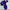 WW | Elegantes Rollkragenkleid mit Raffung