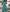 WW | Midi Kleid Elegantes Design Formelle & Abendmode