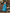 WW | Taillenformendes Sommerkleid