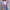 WW | Bunte Jeansjacke
