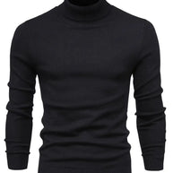 WW | Schicke Rollkragenpullover für Herren