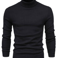 WW | Rollkragenpullover