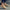 WW | Lässige Slippers Für Herren