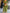WW | Elegantes Maxikleid mit Tiefem Ausschnitt