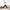 WW | Bequeme Yoga-Hose
