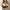 WW | Gestreifter Pullover Für Einen Klassischen Look Für Frauen