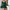 WW | Damenmode Elegantes Slim-fit Langarm Rüschenkleid