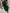 WW | Stylisches Armelloses Kleid mit Klassischem Schnitt