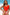 WW | Halb Snap Quadrat-Ausschnitt Tankini-Set