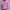 WW | Lebendige Kante Atmungsaktive Jeansjacke