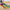 Farbige, stilvolle und bequeme Turnschuhe