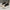 WW | Hohe Platform Sneakers
