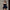 WW | Elegantes Satin Panel Off the Shoulder Fit and Flare Mini Party Kleid