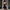 WW | Elegantes Satin Panel Off the Shoulder Fit and Flare Mini Party Kleid
