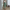 WW | Stilvolle Damenhose Klassische Schicke Hose