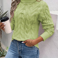 WW | Strick Rollkragenpullover