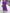 WW | stilvolles und elegantes Chiffonkleid mit V-Ausschnitt